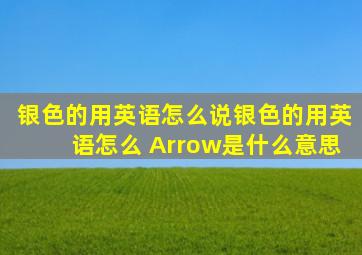 银色的用英语怎么说银色的用英语怎么 Arrow是什么意思